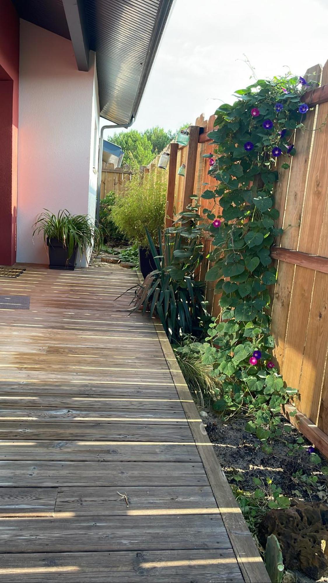 Villa L'Espourguit Proche De L'Ocean Et De La Foret 米尼赞海滩 外观 照片